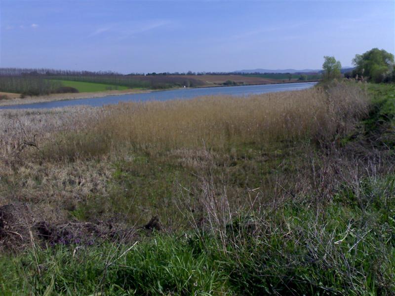 200704091672 .jpg